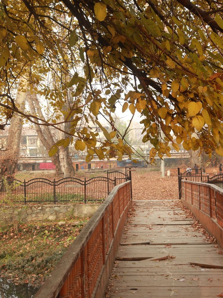 Bridge  under Autumn shades