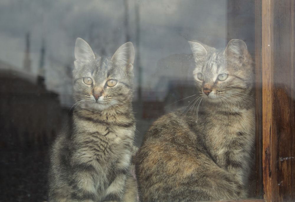 Photograph by Оксана Егорова