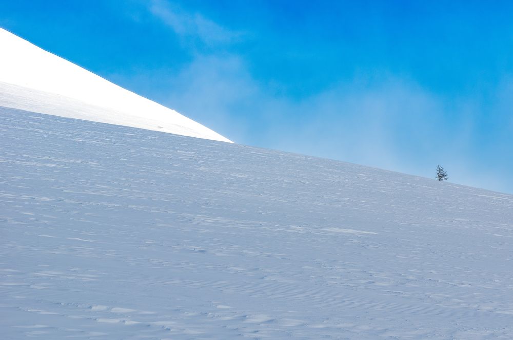 Photograph by Сергей Пашнов