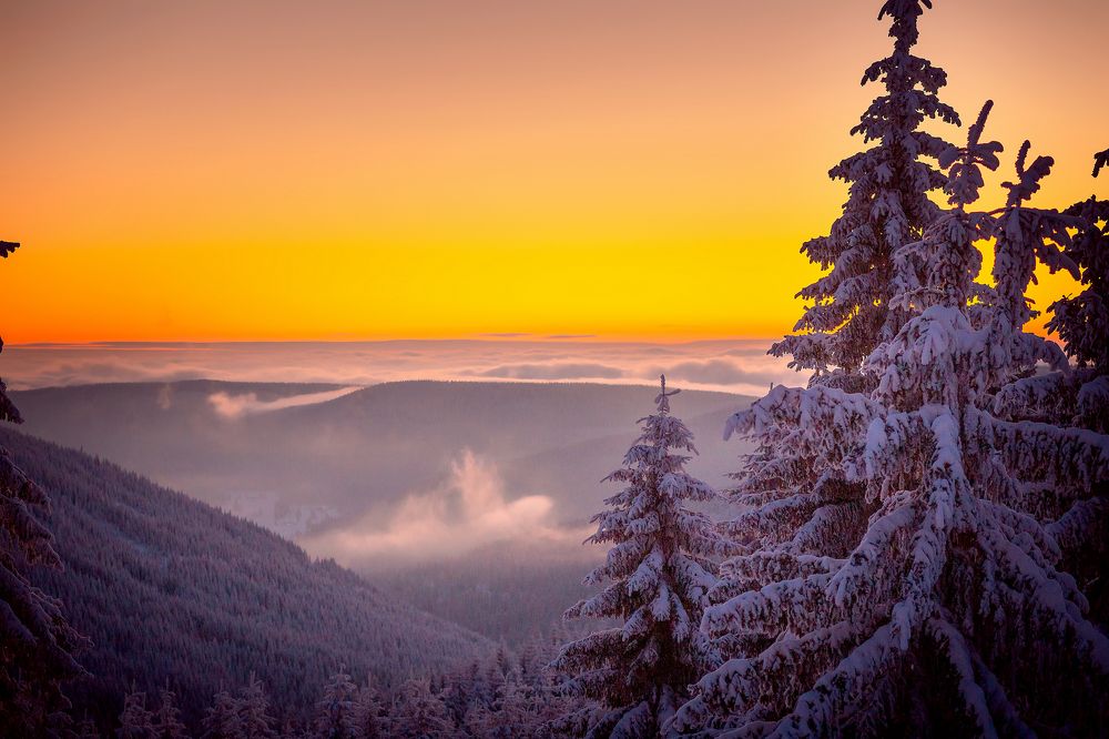 Photograph by Iryna Petrenko