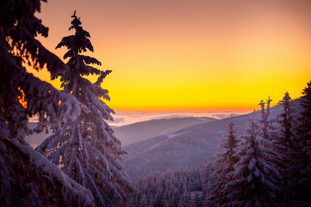 Photograph by Iryna Petrenko