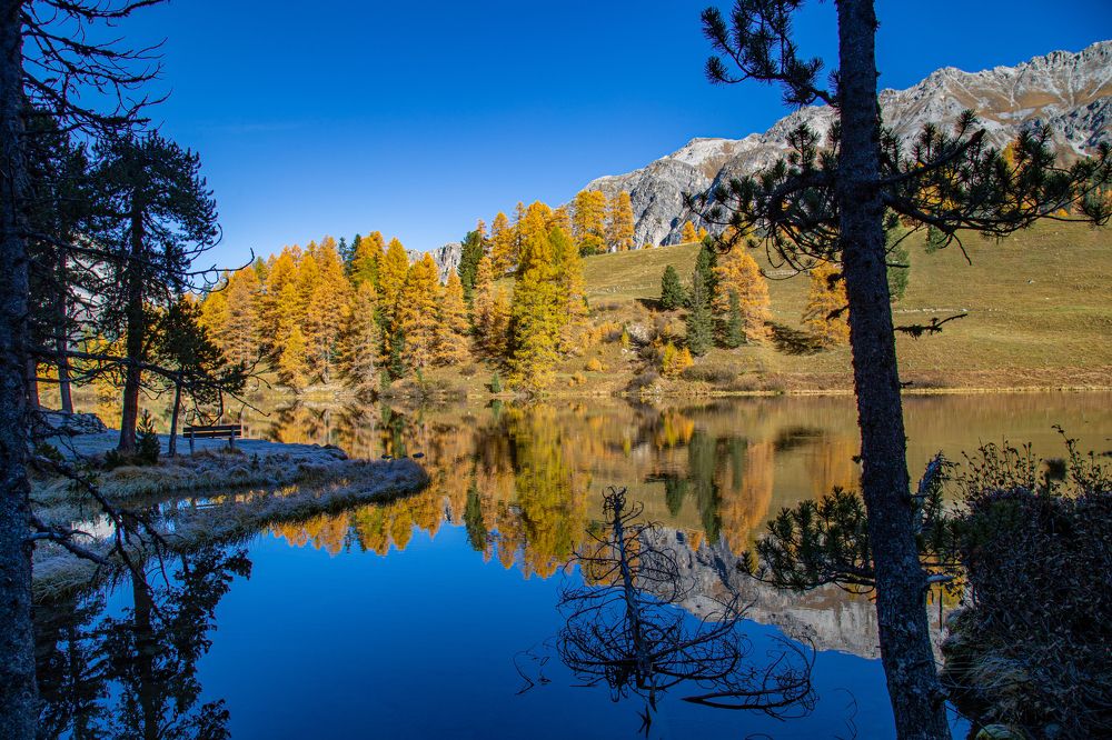 Photograph by Michael Mettier