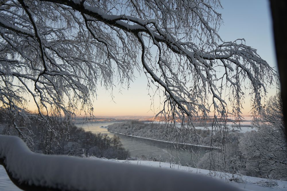 Photograph by Елизавета Фирстова