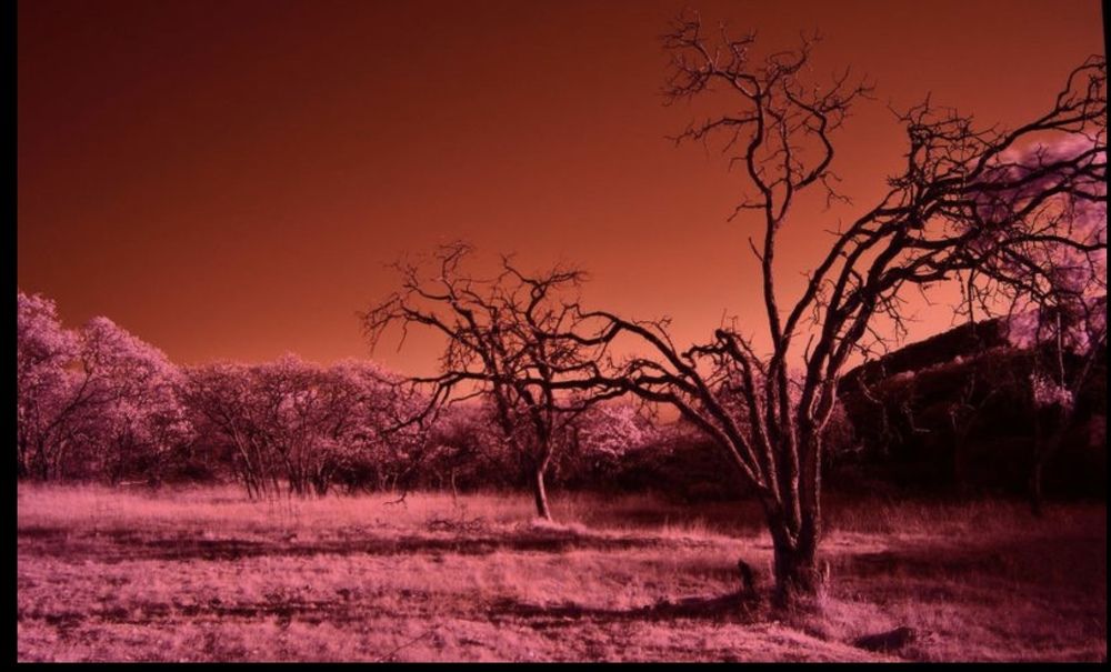 Photograph by Omar Sanchez