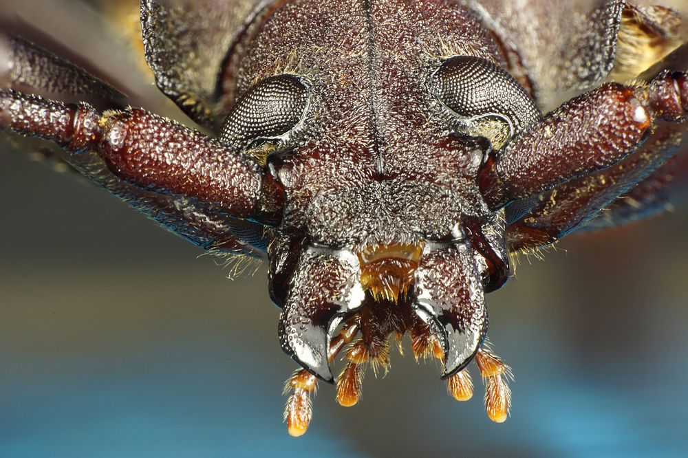 Photograph by Sergios  Kozmidis