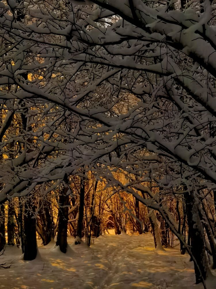 Photograph by Олика