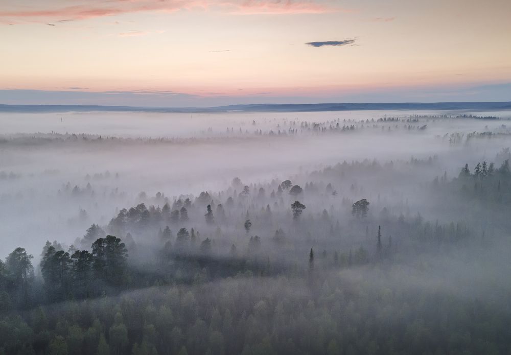 Photograph by Татьяна Борисова