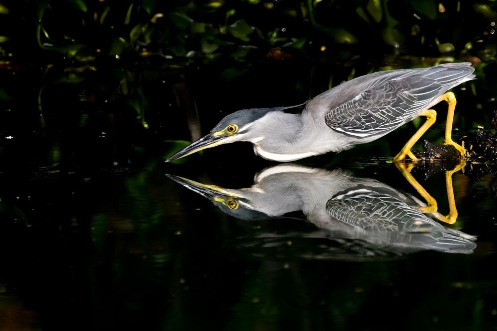 Photograph by Gimantha Perera