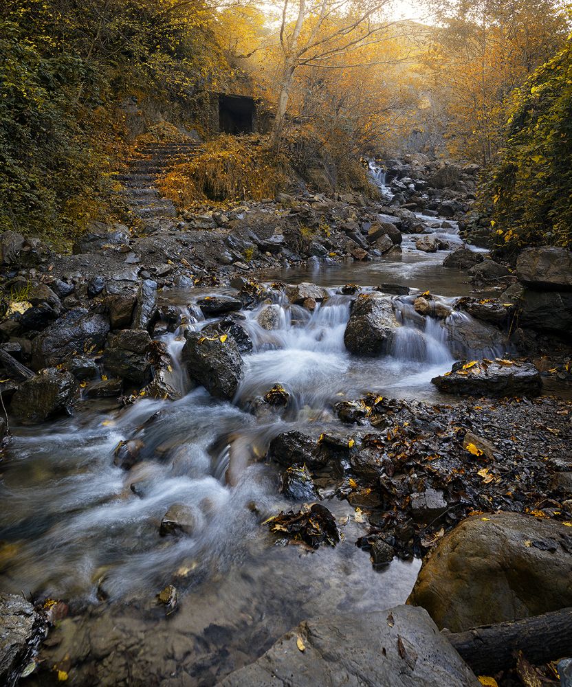 Фотография автора Ali Rouhi