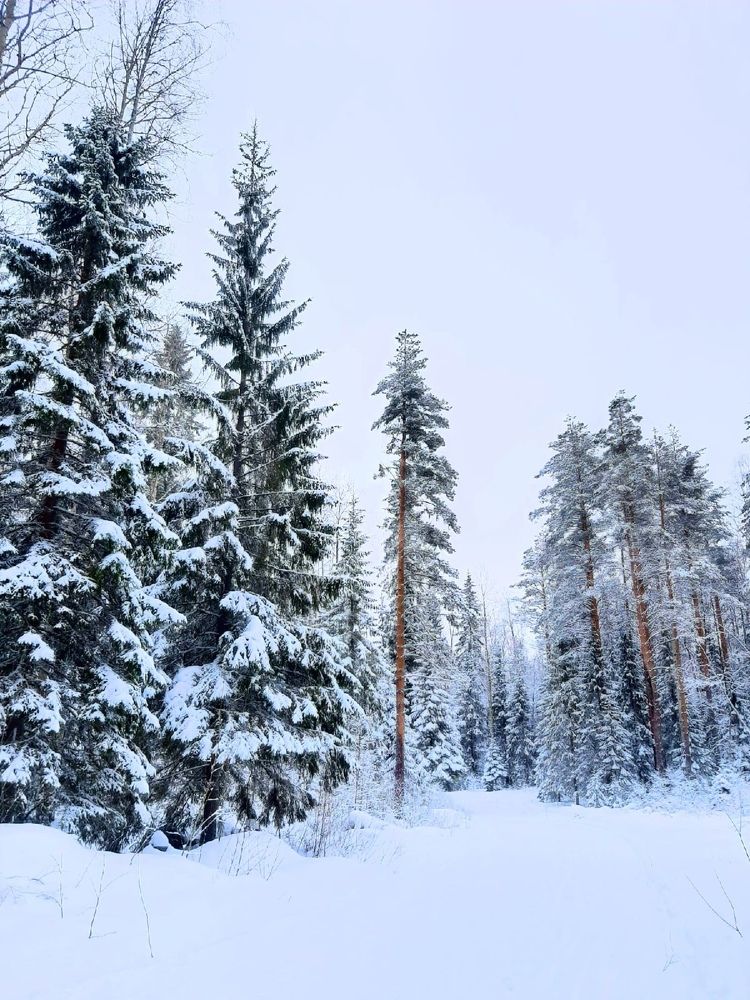 Photograph by Оля