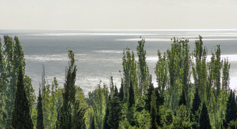 Photograph by Сергей Табатчиков