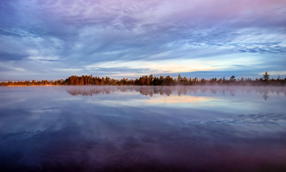 Photograph by Dace Spalviņa