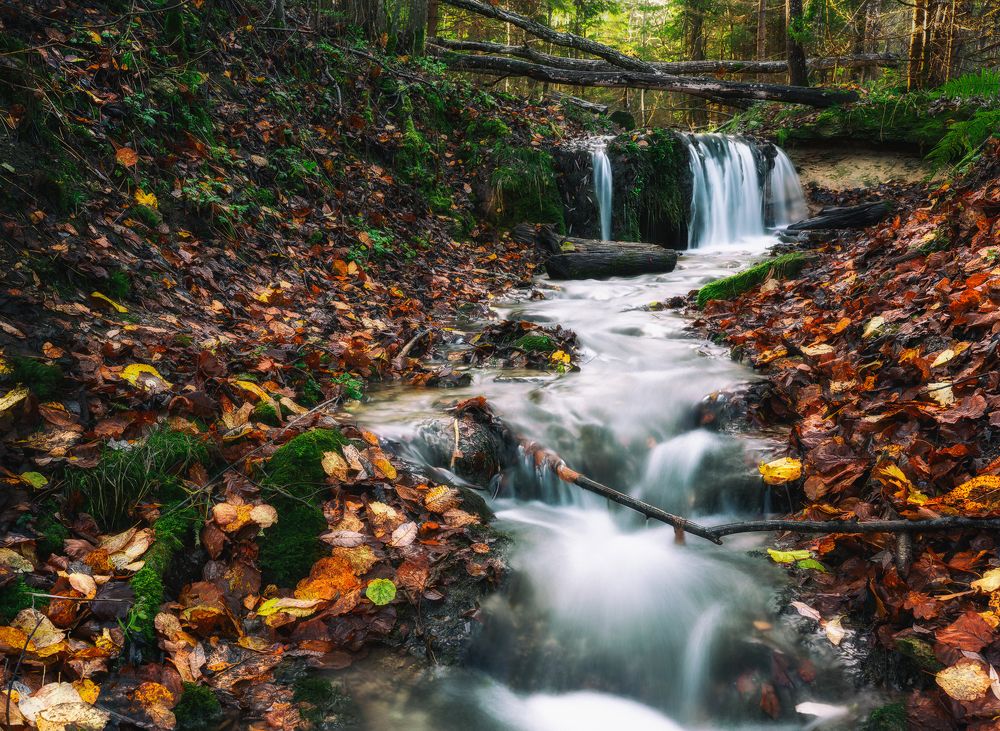 Photograph by Dace Spalviņa