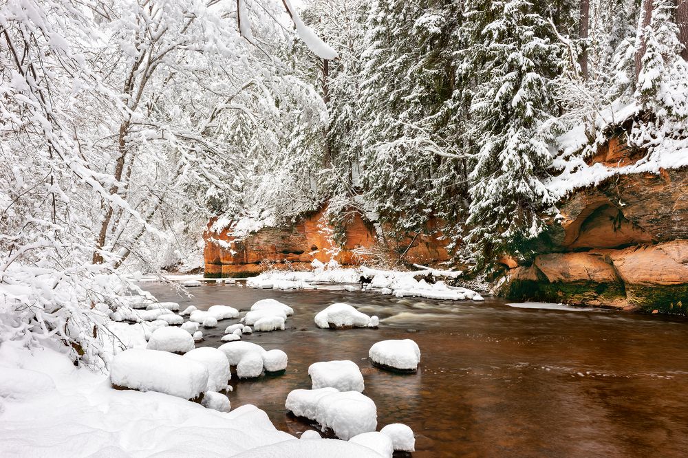 Photograph by Dace Spalviņa