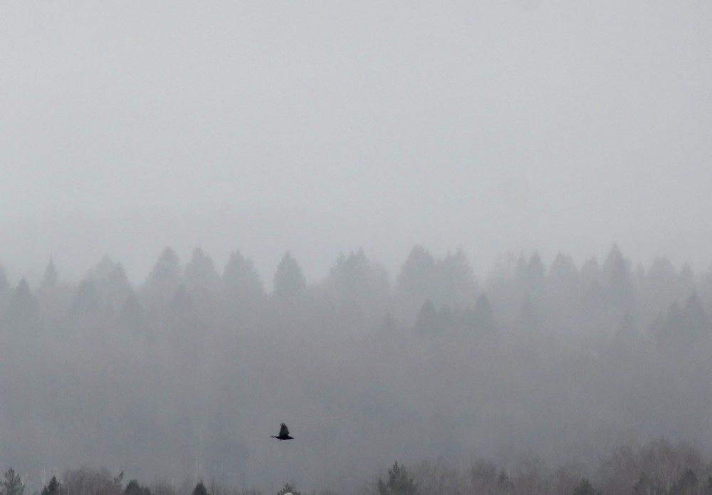 Photograph by Олика