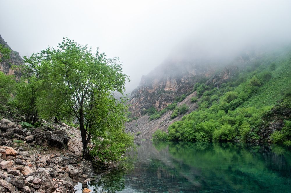 Photograph by Ruslan Ruslan