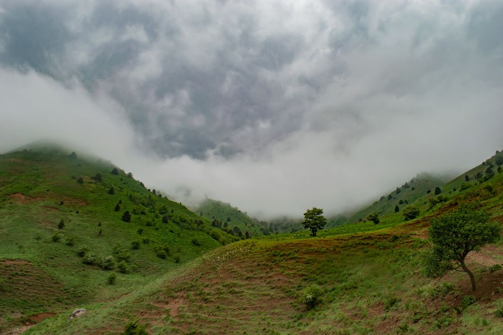 Photograph by Ruslan Ruslan