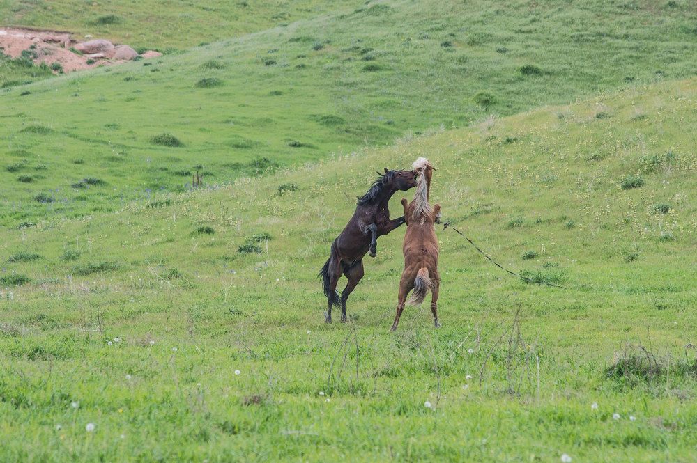 Photograph by Ruslan Ruslan