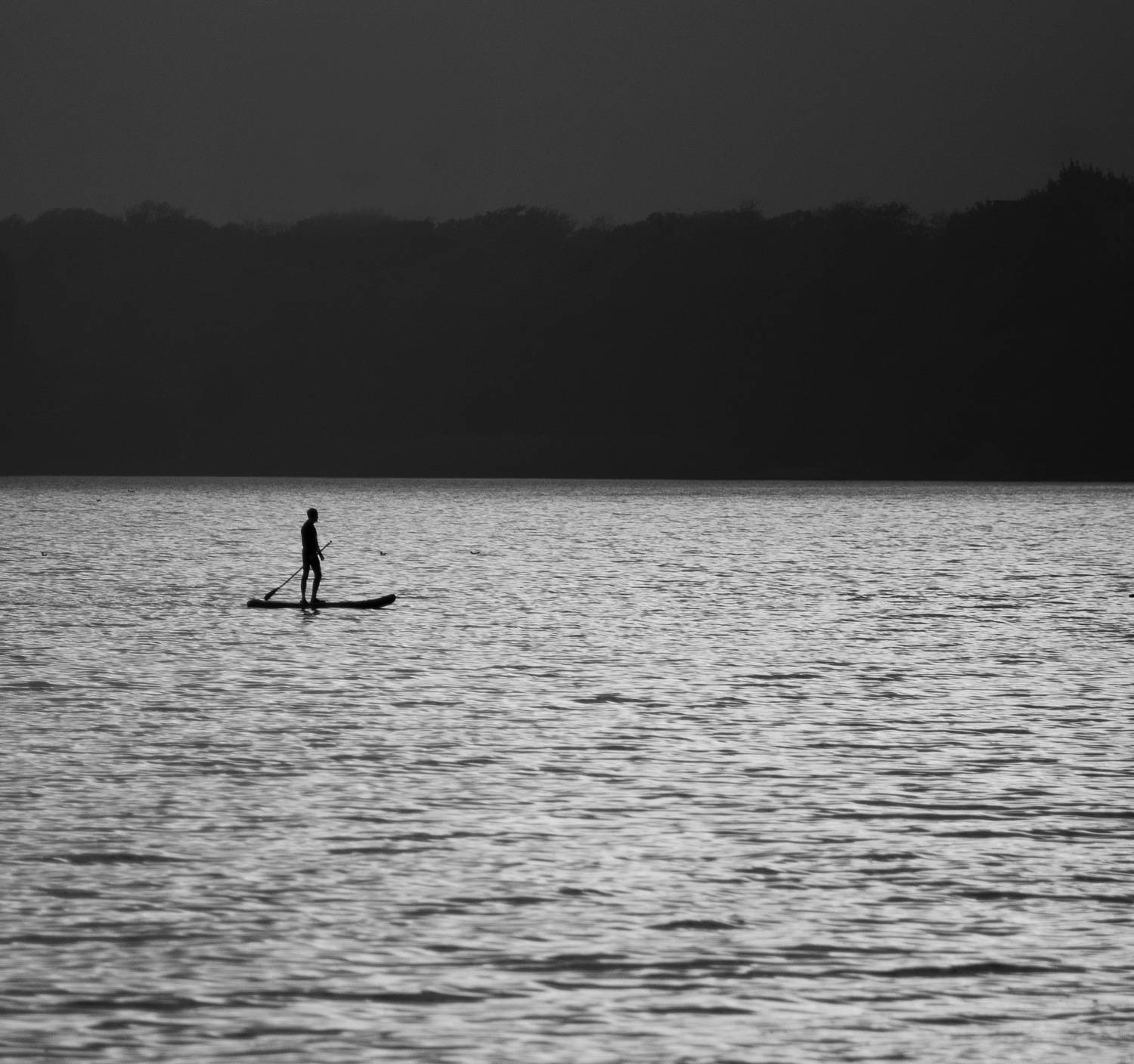 Photo #6894727
