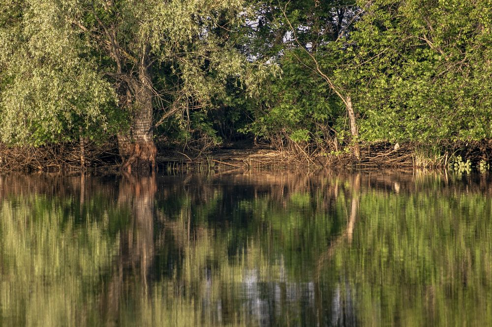 Photograph by Виталий Девяткин