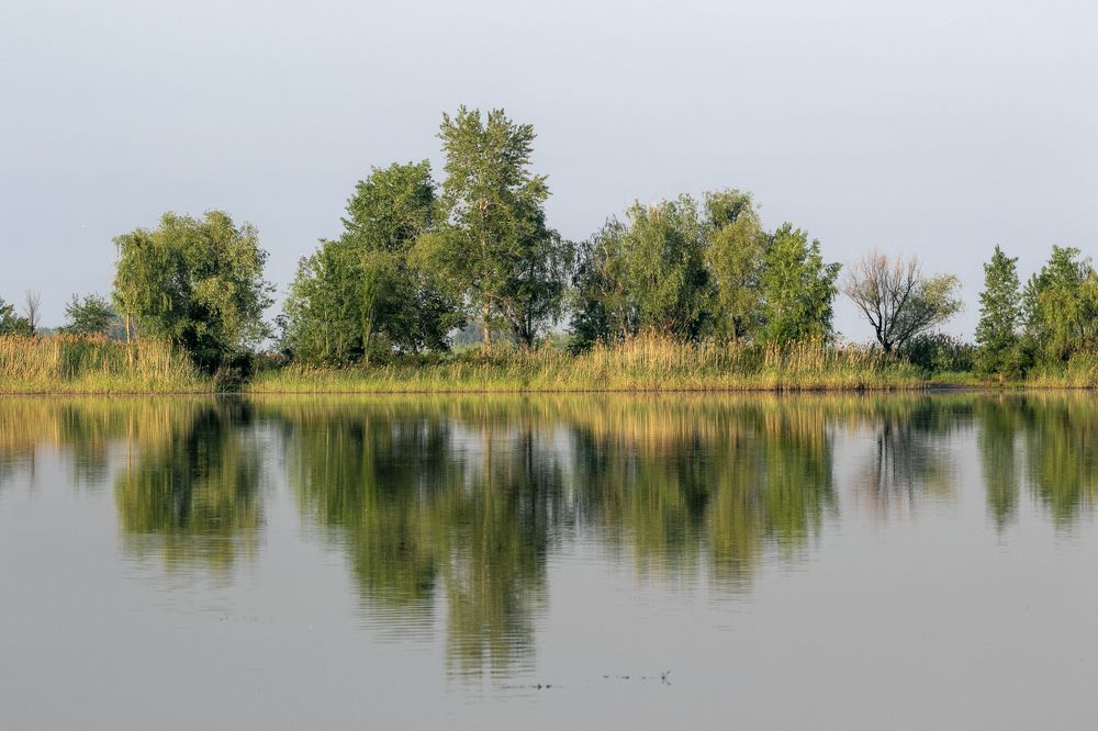 Photograph by Виталий Девяткин