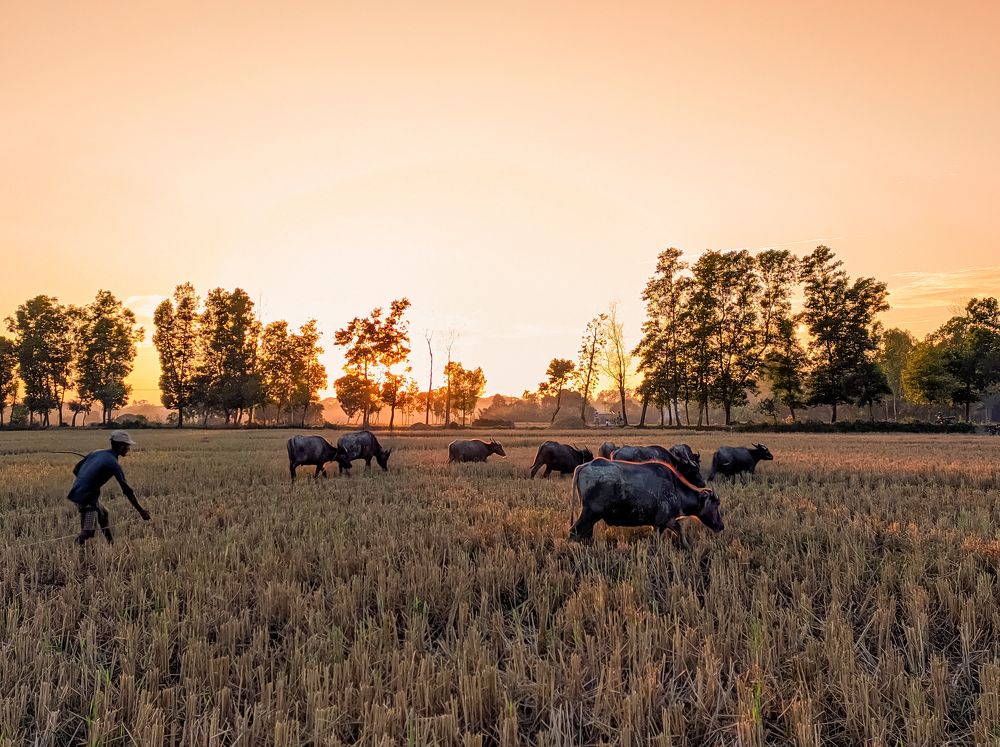 Photograph by Fahim Ahmed Sahed