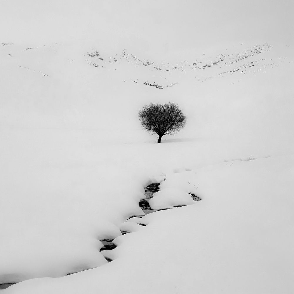 Фотография автора Alipour mohammad