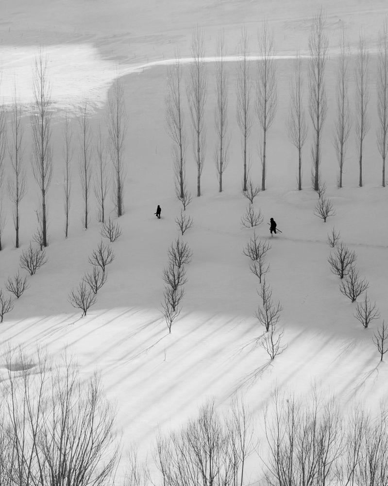 Фотография автора Alipour mohammad