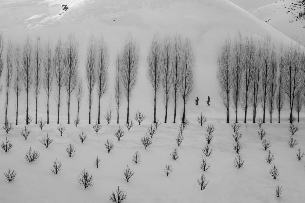 Фотография автора Alipour mohammad