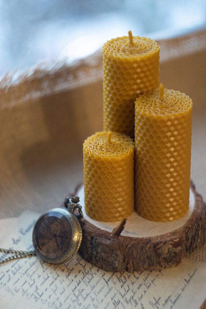 Фотография автора Анастасия Руднева