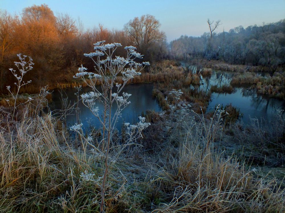 Photograph by Дмитрий Крылов