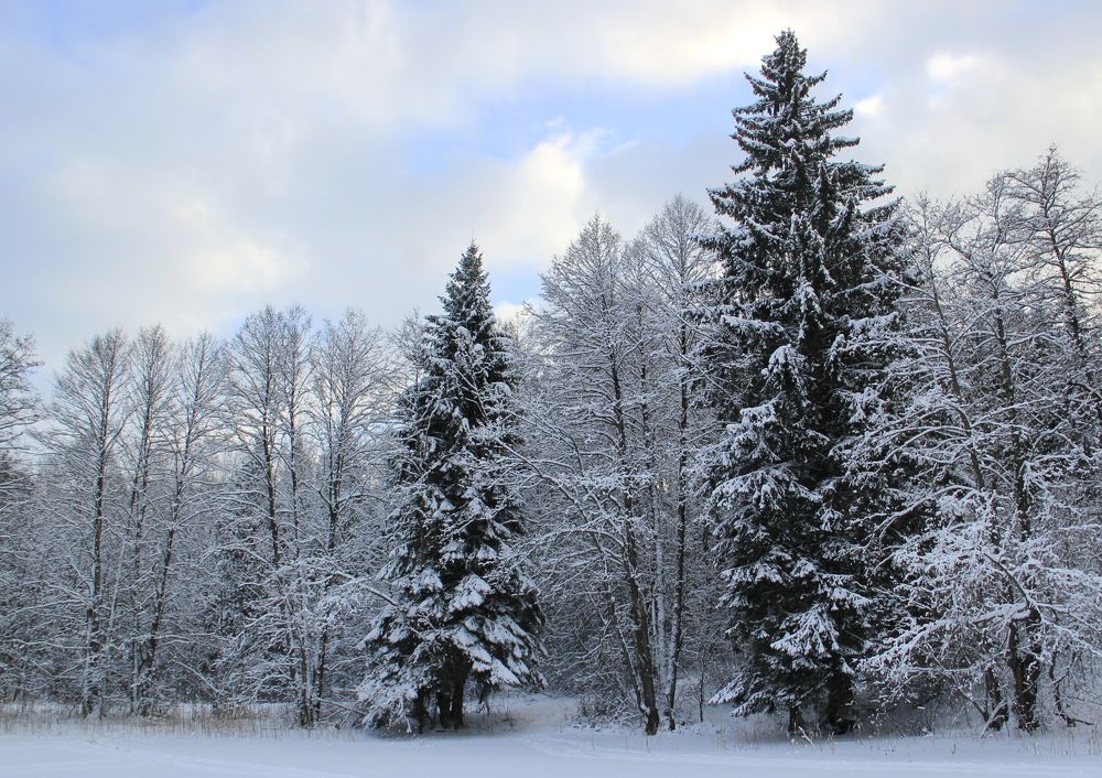 Photograph by Анна-Лаймуте Милошевич