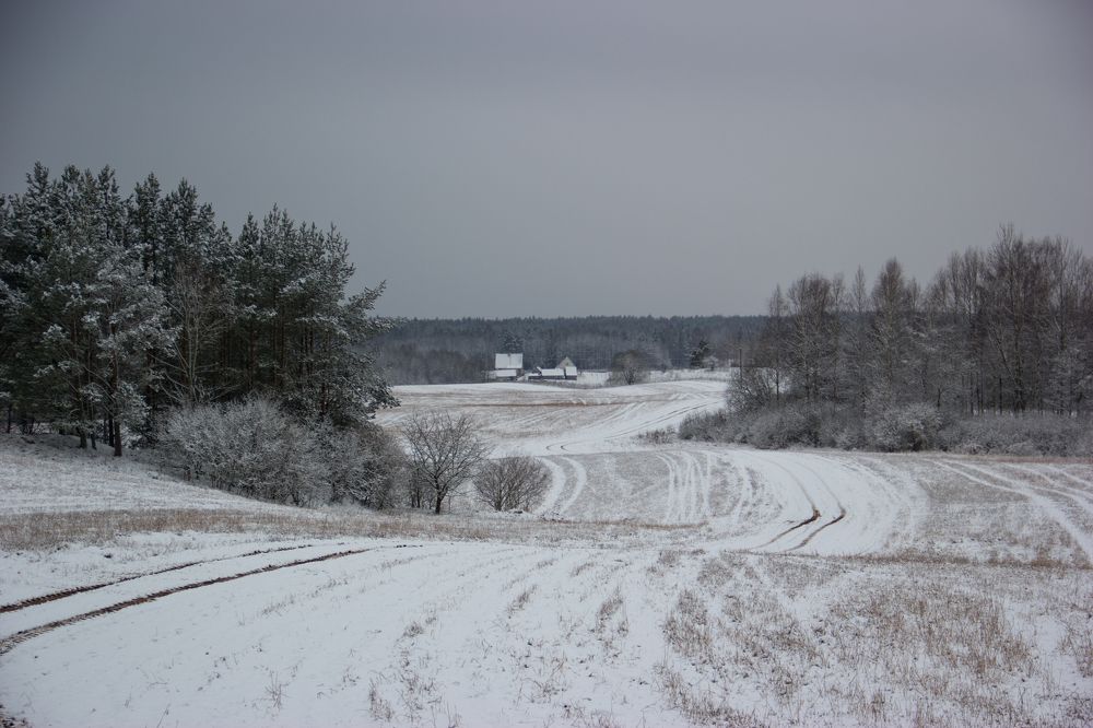Photograph by Анна-Лаймуте Милошевич