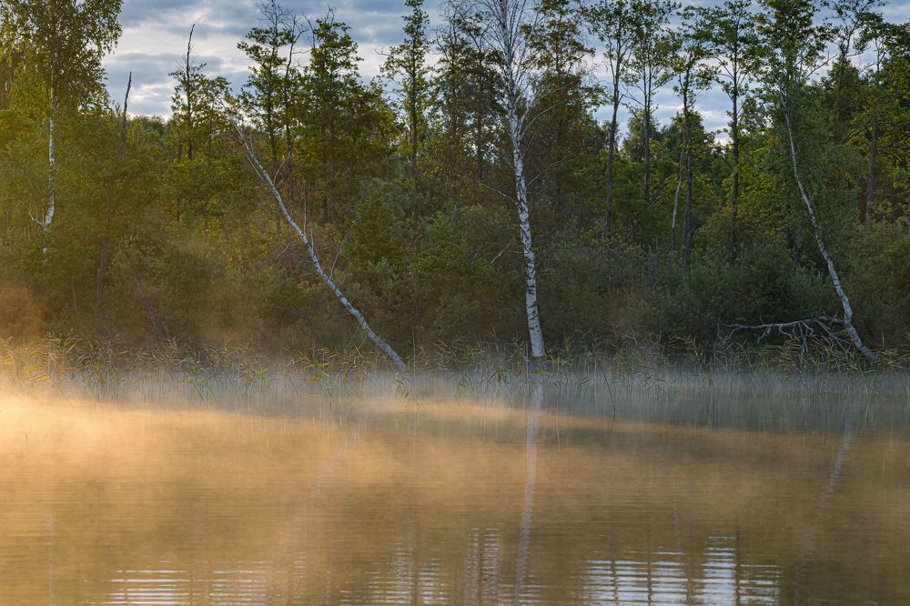 Photograph by Valdis Serzhans
