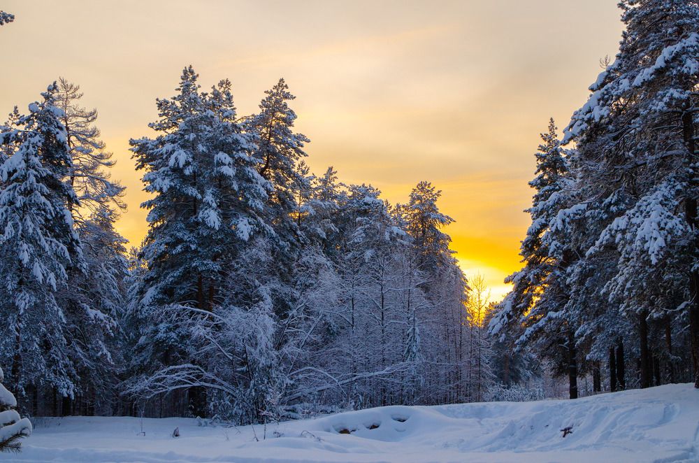 Photograph by Артём Шестаков