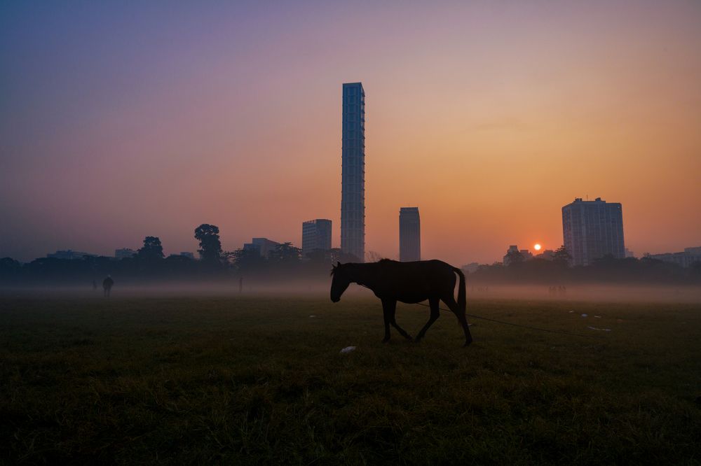 Photograph by Kuntal Biswas