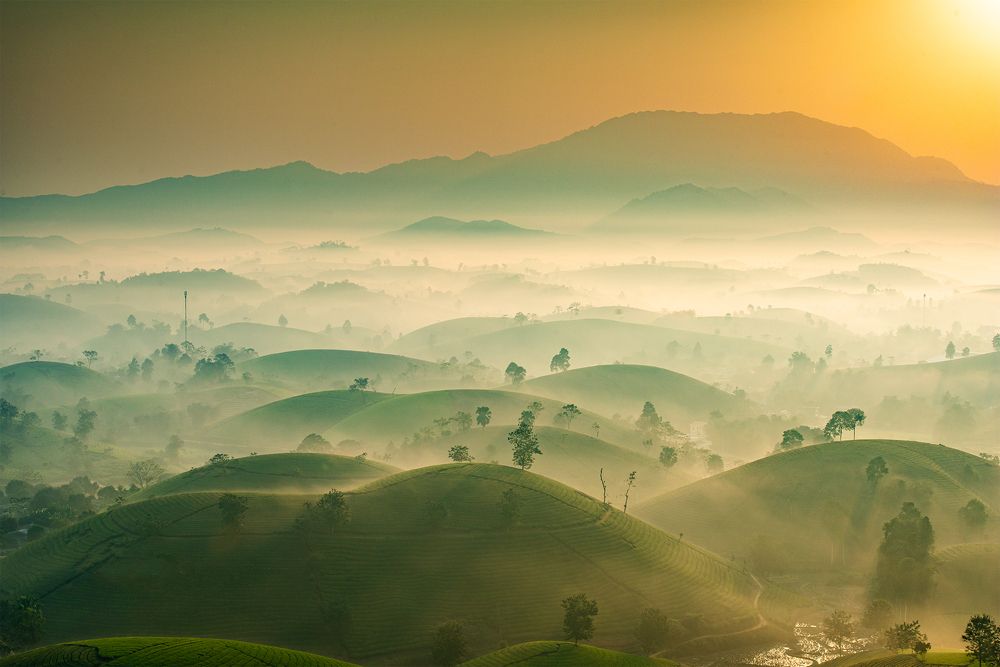 Фотография автора Đào Cảnh