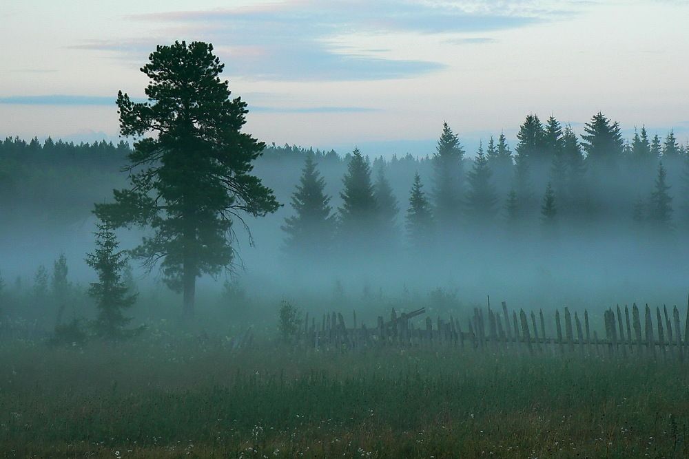 Photograph by Sergei Petrov