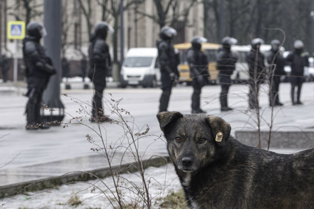 Фотография автора Антон Караваев