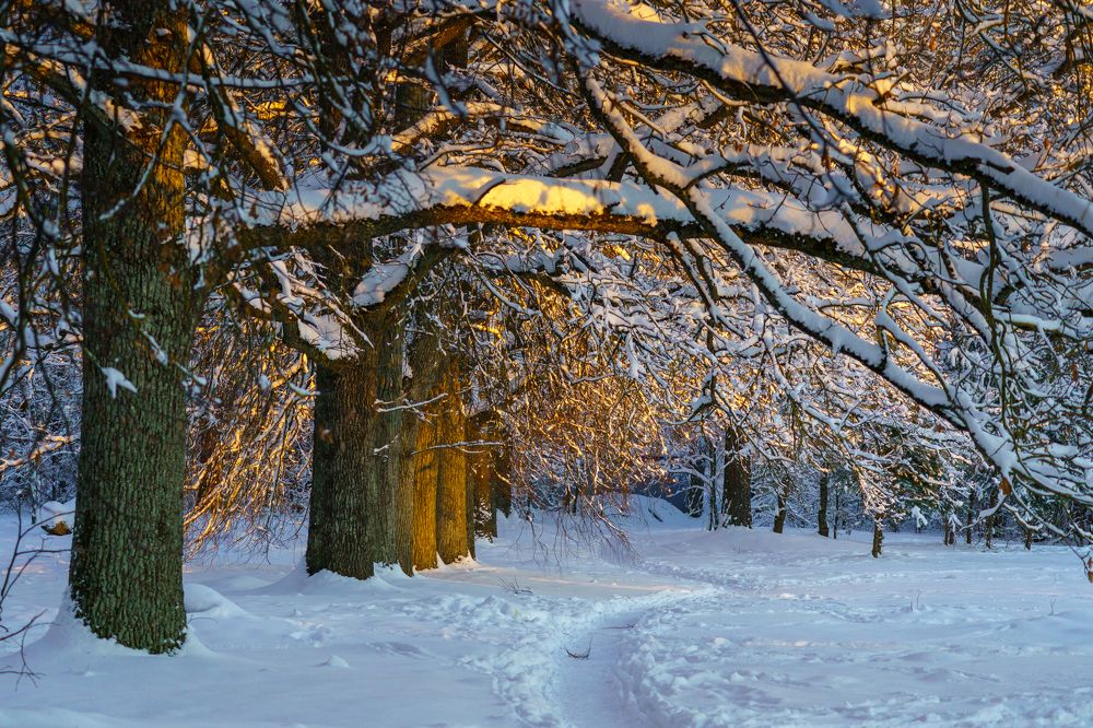 Photograph by Valdis Serzhans