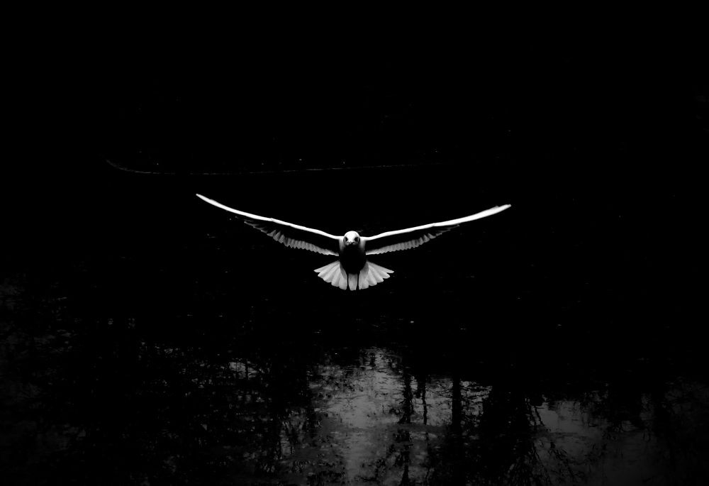 Photograph by Левин Арсений Андреевич
