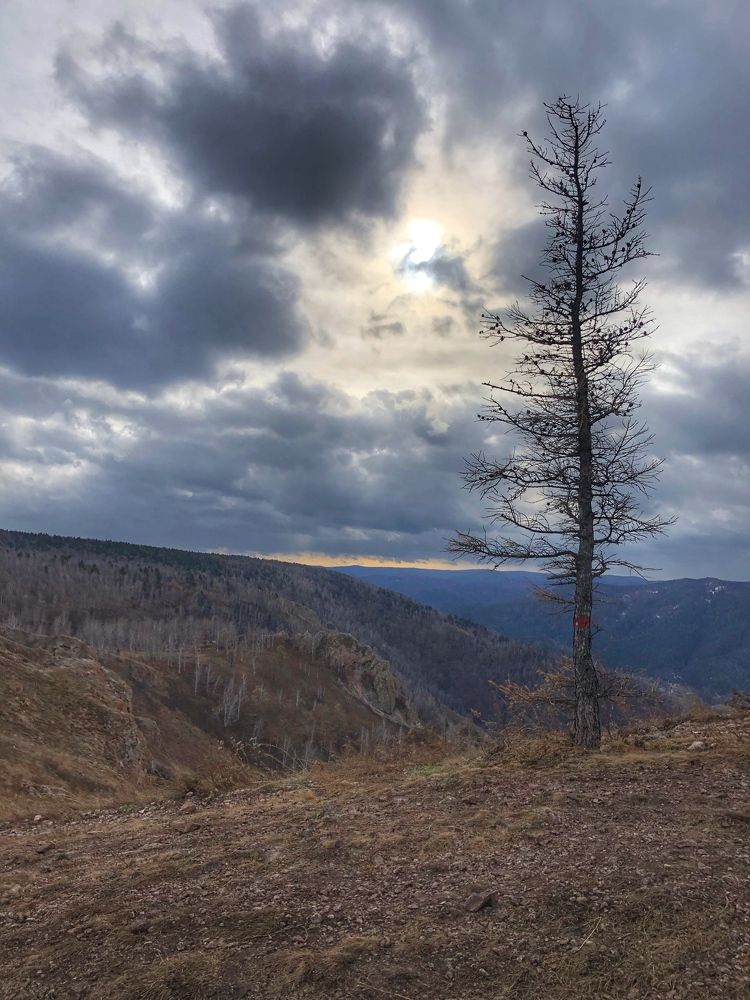 Photograph by Светлана Дмитриева