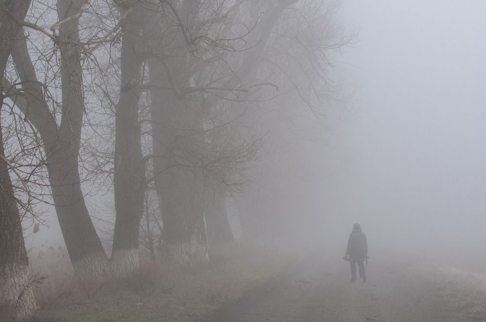 Photograph by Александр Поборчий