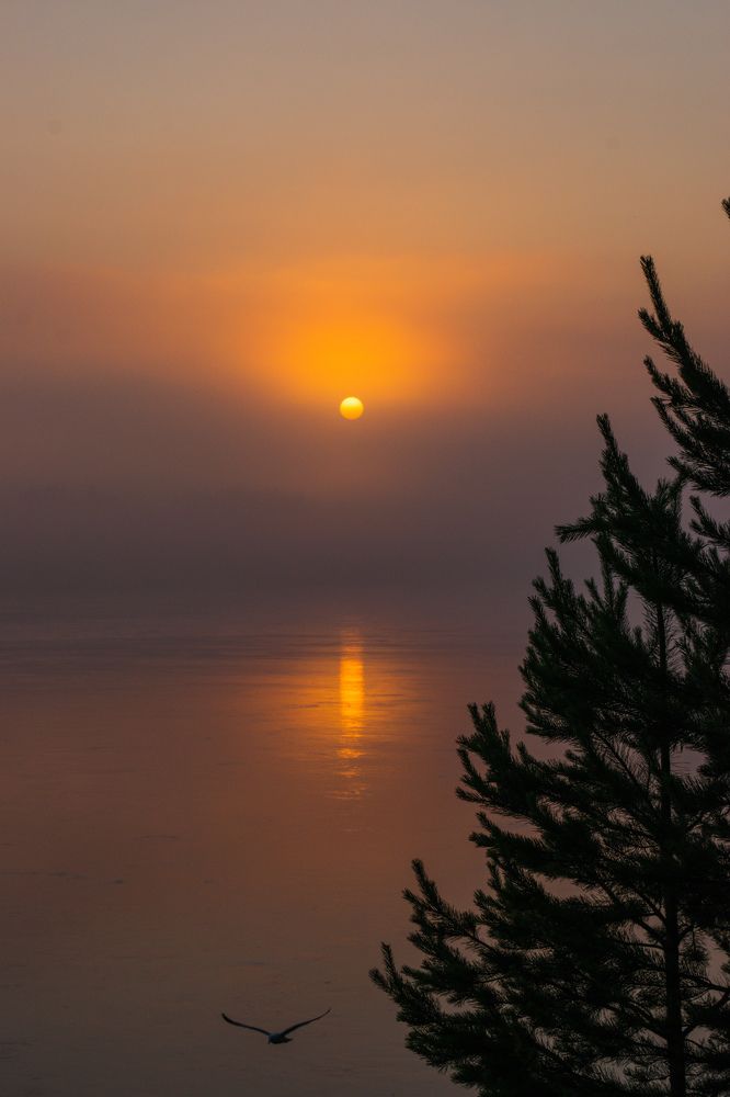 Photograph by Светлана Дмитриева