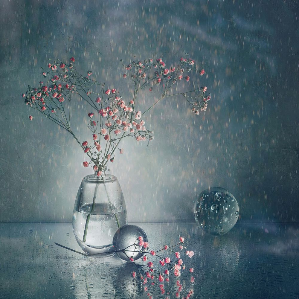 Photograph by MVO (Марк Орлов)