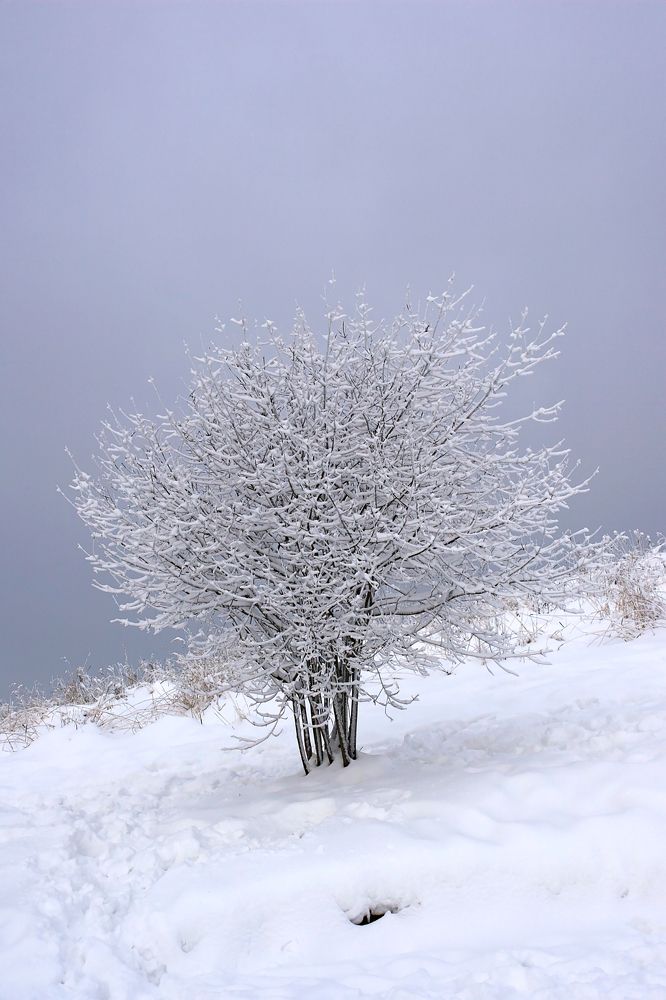 Photograph by Евгений Беленков