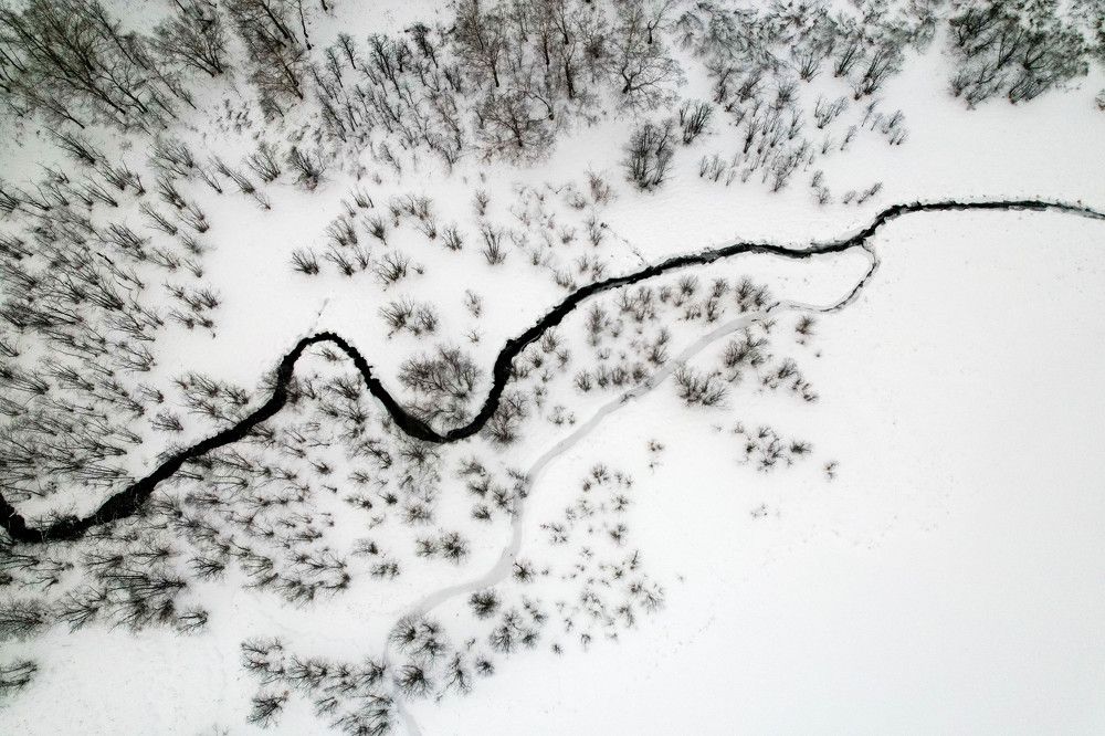 Photograph by Юлия Тельпова