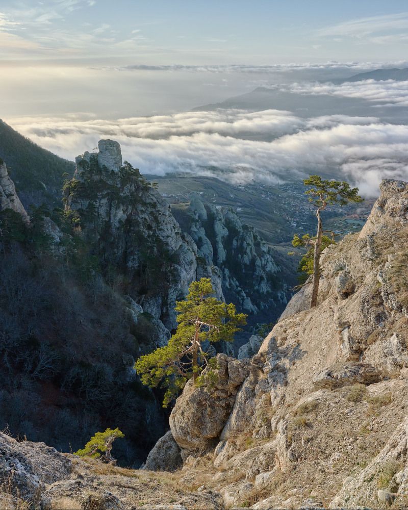 Photograph by Андрей Прищепин