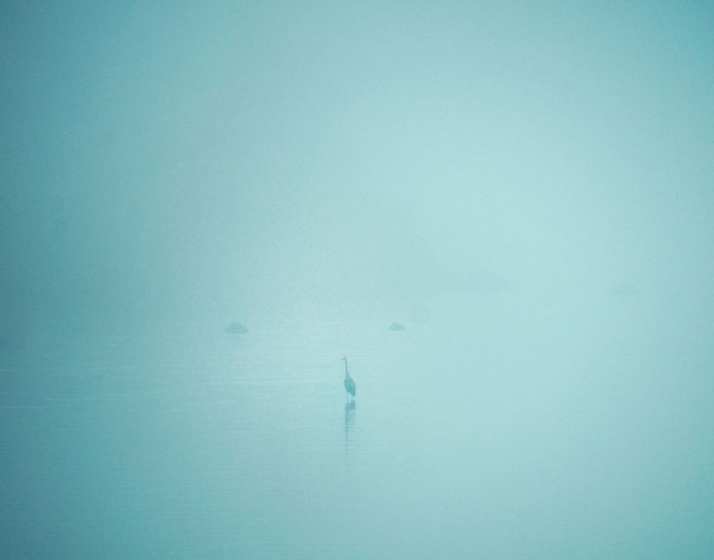 Photograph by Ирина Щеглова