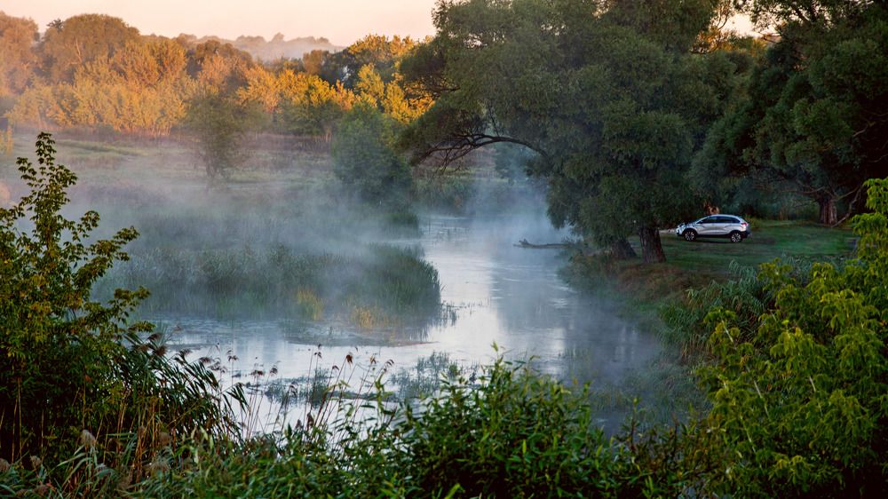 Photograph by Александр Дергаусов